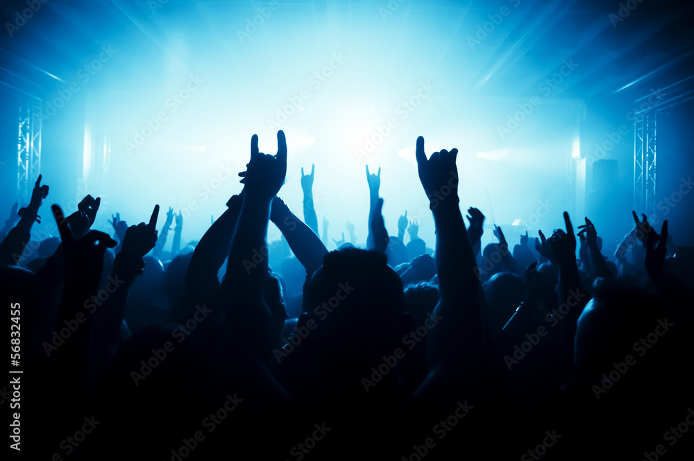 Jubelnde Konzertbesucher auf Rock-Konzert