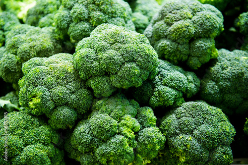 fresh broccoli photo