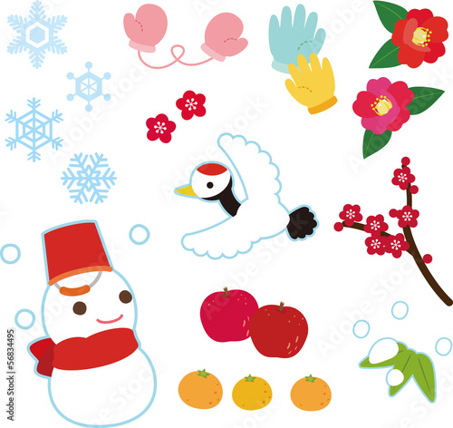 冬の花や雪の素材