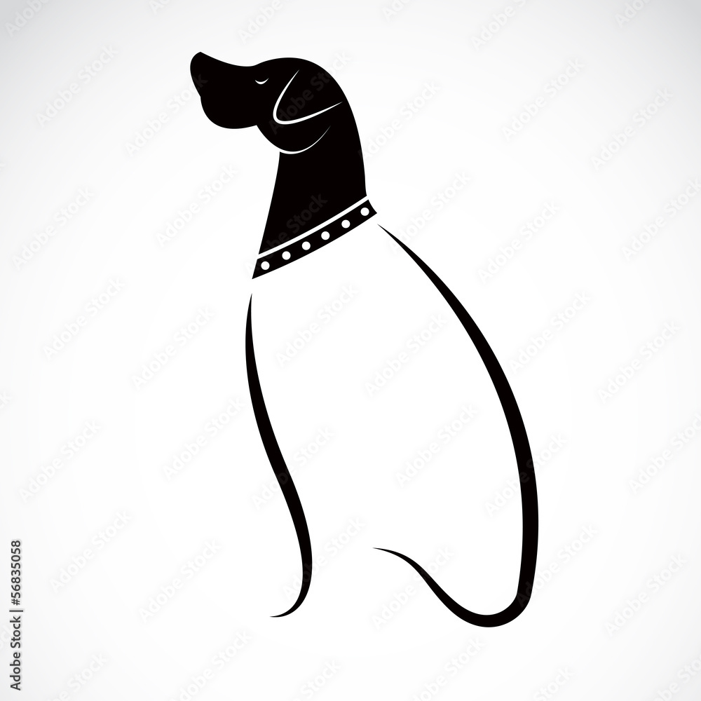 Vector image of an dog labrador