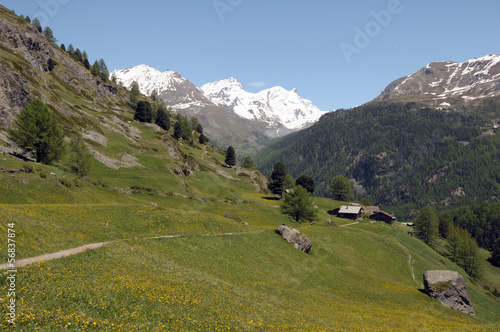 Huts and chalets in the village of Zmutt in the Swiss Alps