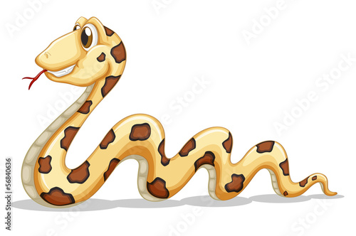 A sideview of a snake