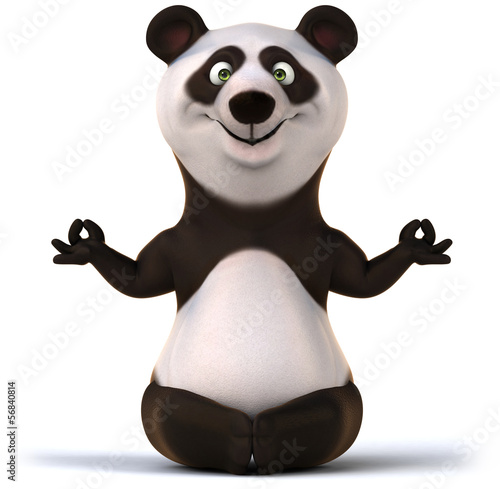 Zen panda photo