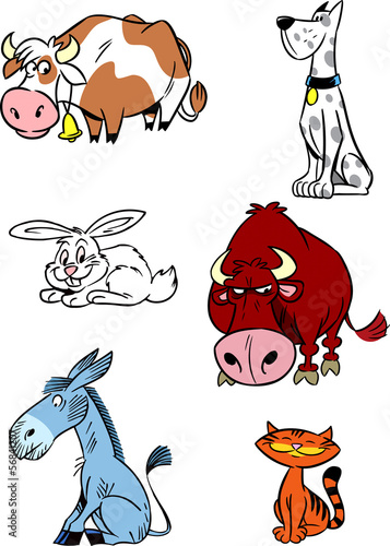 farm animals