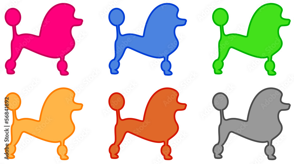 set isolated colorful poodle icon