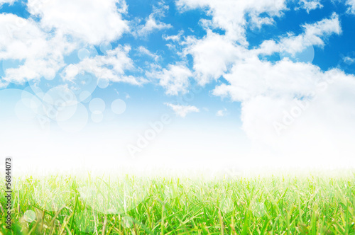 fresh background of sky and green grass