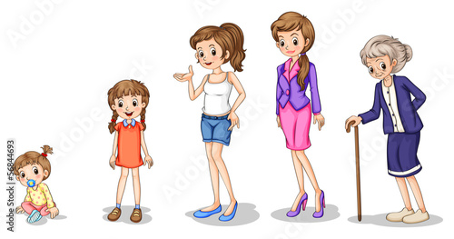 Phases of a growing female