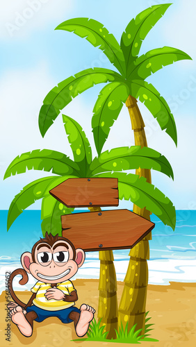 A worried monkey at the beach with an empty callout