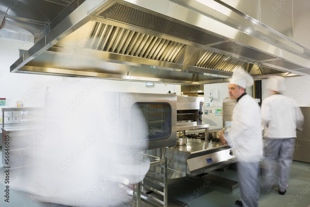 Team of chefs working in a kitchen Team of chefs working in a kitchen