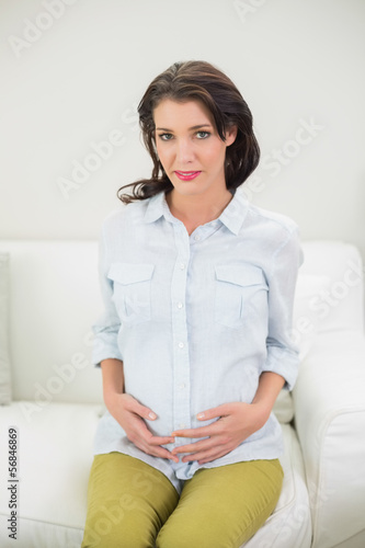 Gorgeous pregnant brown haired woman holding her belly