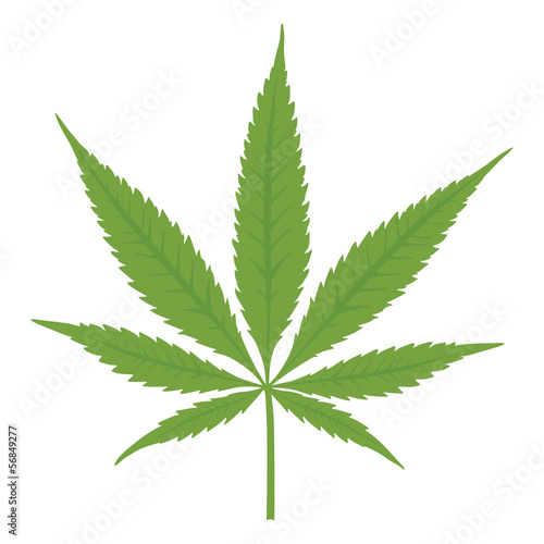 Vector cannabis leaf. Marijuana.
