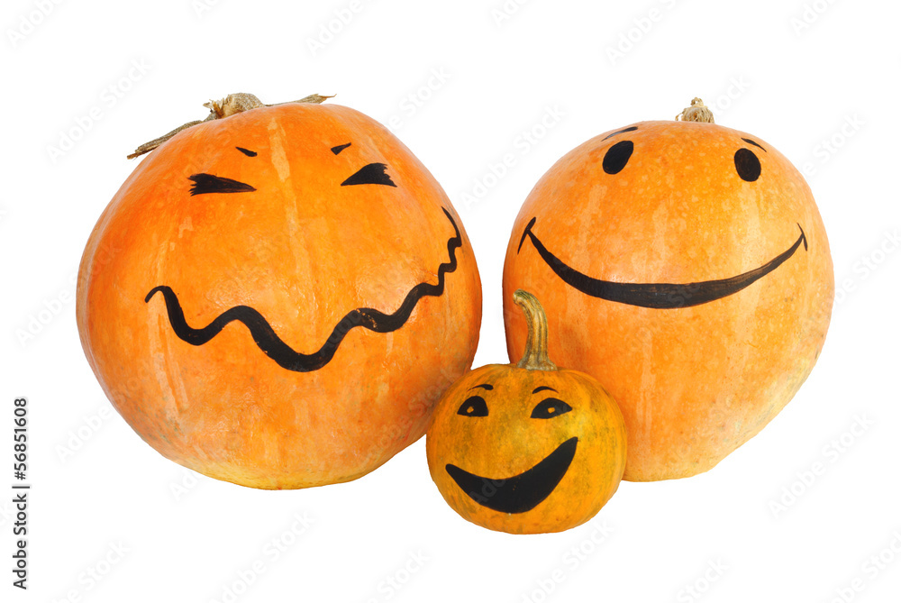 Halloween Pumpkin Family Halloween Pumpkin Family