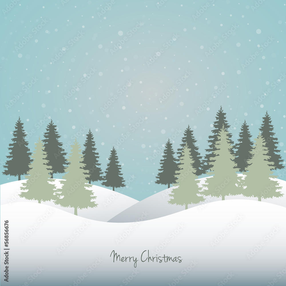 Fototapeta premium winter background trees and sky