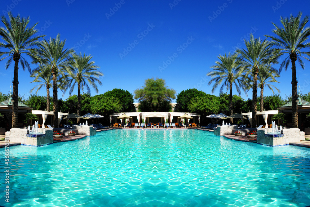 Swimming Pool and Palm Trees