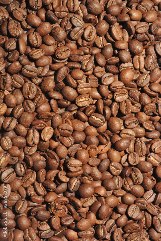 background with coffee beans background with coffee beans