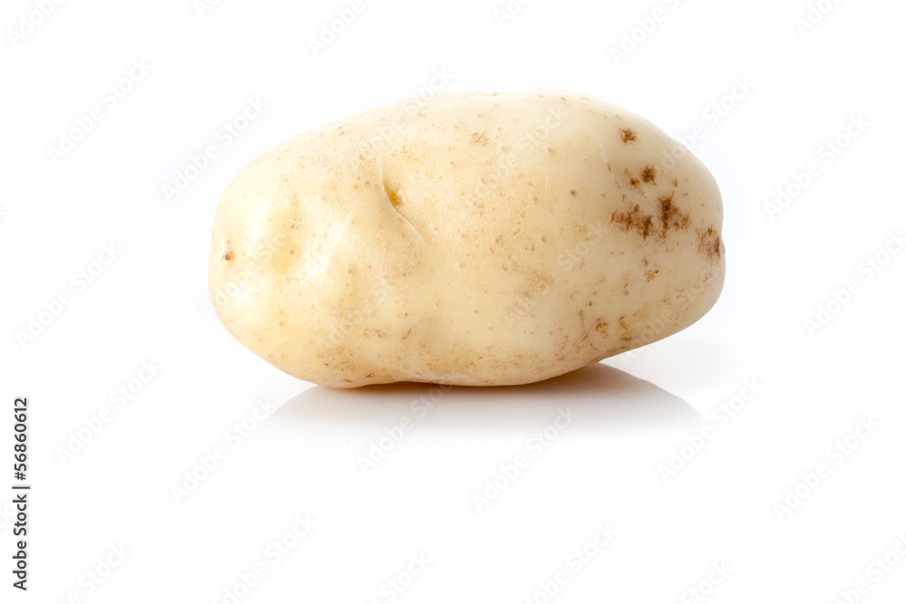 potato isolated on a white background potato isolated on a white background