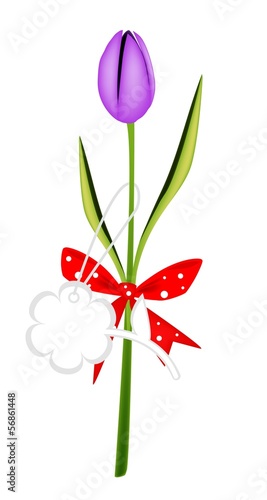 Fresh Violet Tulip with Red Ribbon