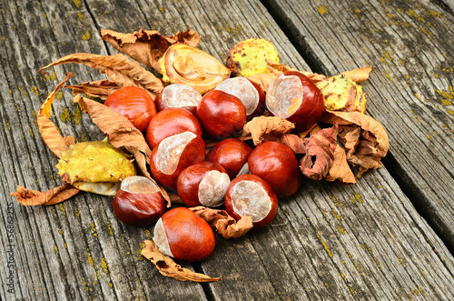 Horse chestnut on the wooden background