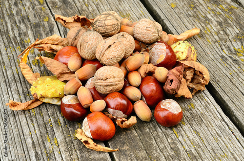 Chestnuts, walnuts and hazelnuts on wooden background