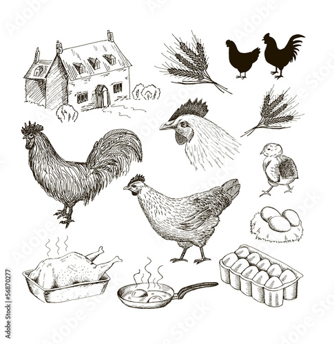 chicken