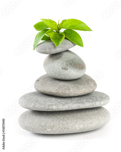 Balanced spa stones with  plant