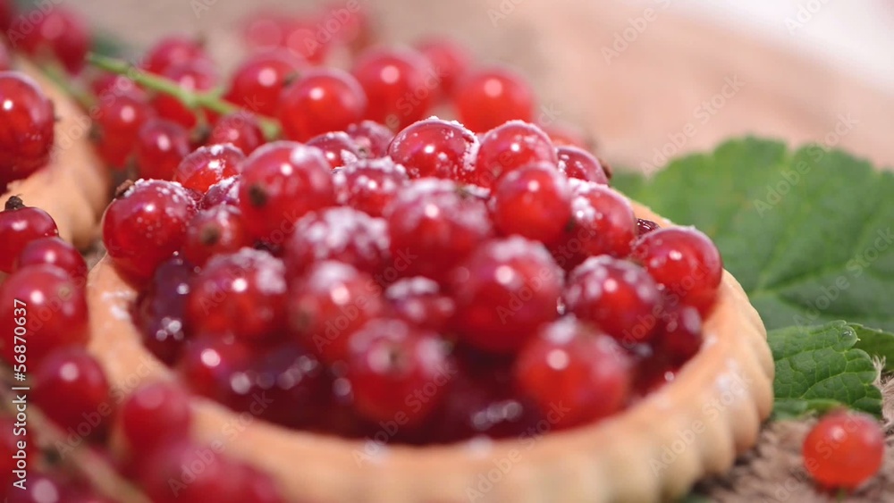 Loopable Red Currant Tart as background video Loopable Red Currant Tart as background video