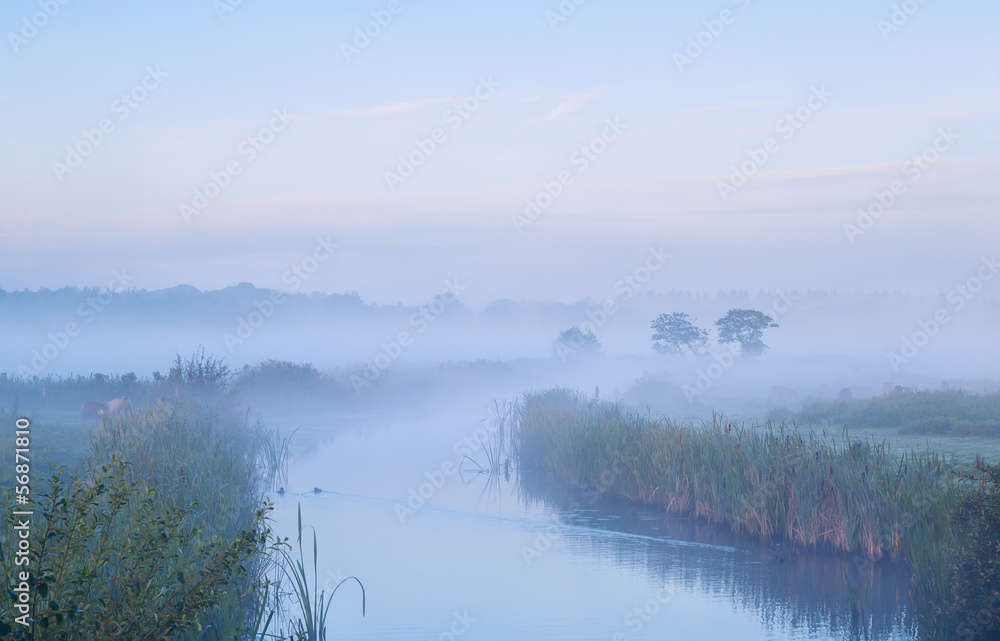 calm misty morning over river