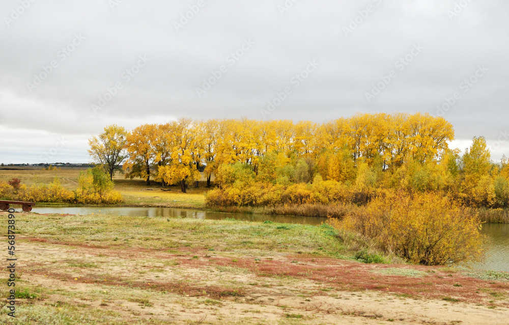 Fototapeta premium autumn river