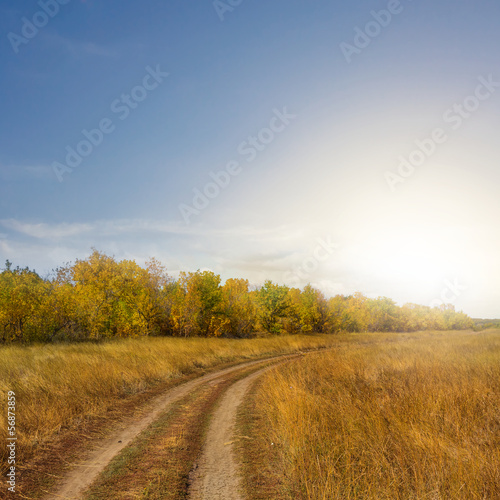 autumn steppe road