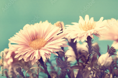 Fototapeta Naklejka Na Ścianę i Meble -  adorable vintage flowers