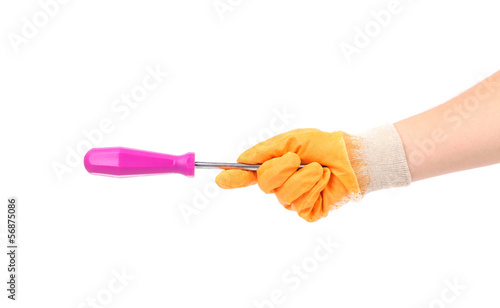 Hand holding screwdriver.