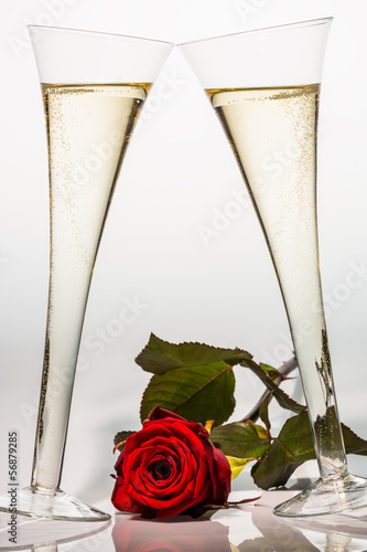 champagne or sparkling wine in champagne glass