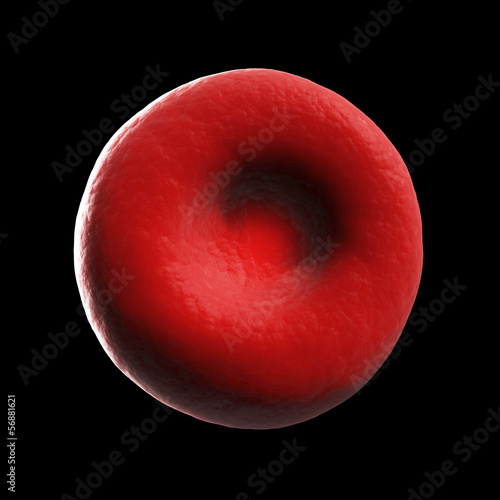 3d rendered illustration of human a red blood cell