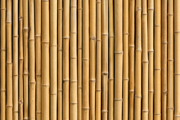 bamboo fence background