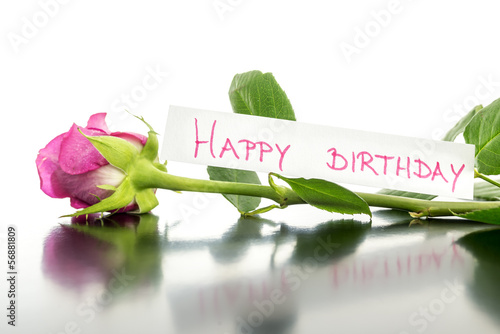 Photography Happy birthday flower