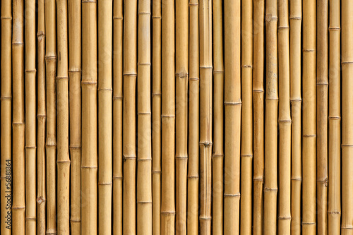 Canvas Print bamboo fence background