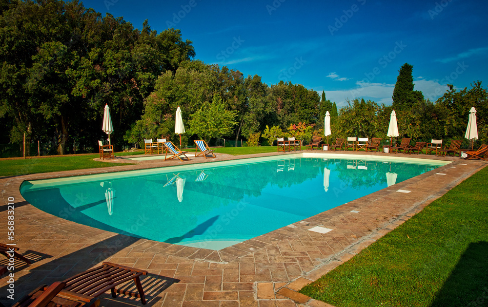 Swimming pool with trees