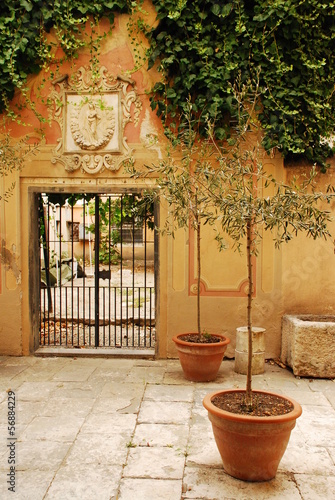 Fototapeta Naklejka Na Ścianę i Meble -  Doorway with Two Olive Trees
