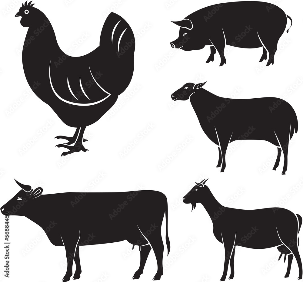 farm animals farm animals