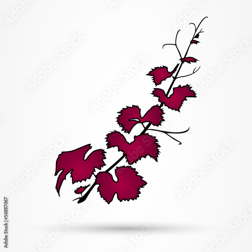 Weinranke Vektor Silhouette