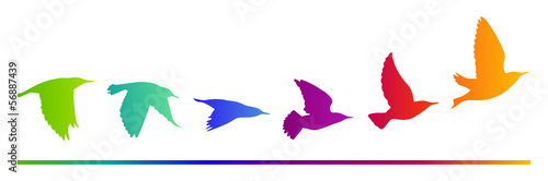 Vogelzug Vektor Silhouette