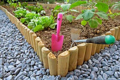 Vegetable garden photo