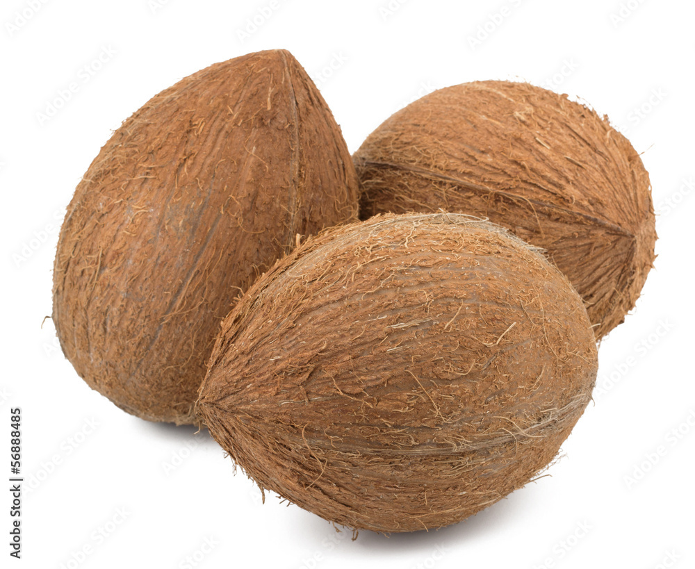 Coconuts isolated on white background Coconuts isolated on white background