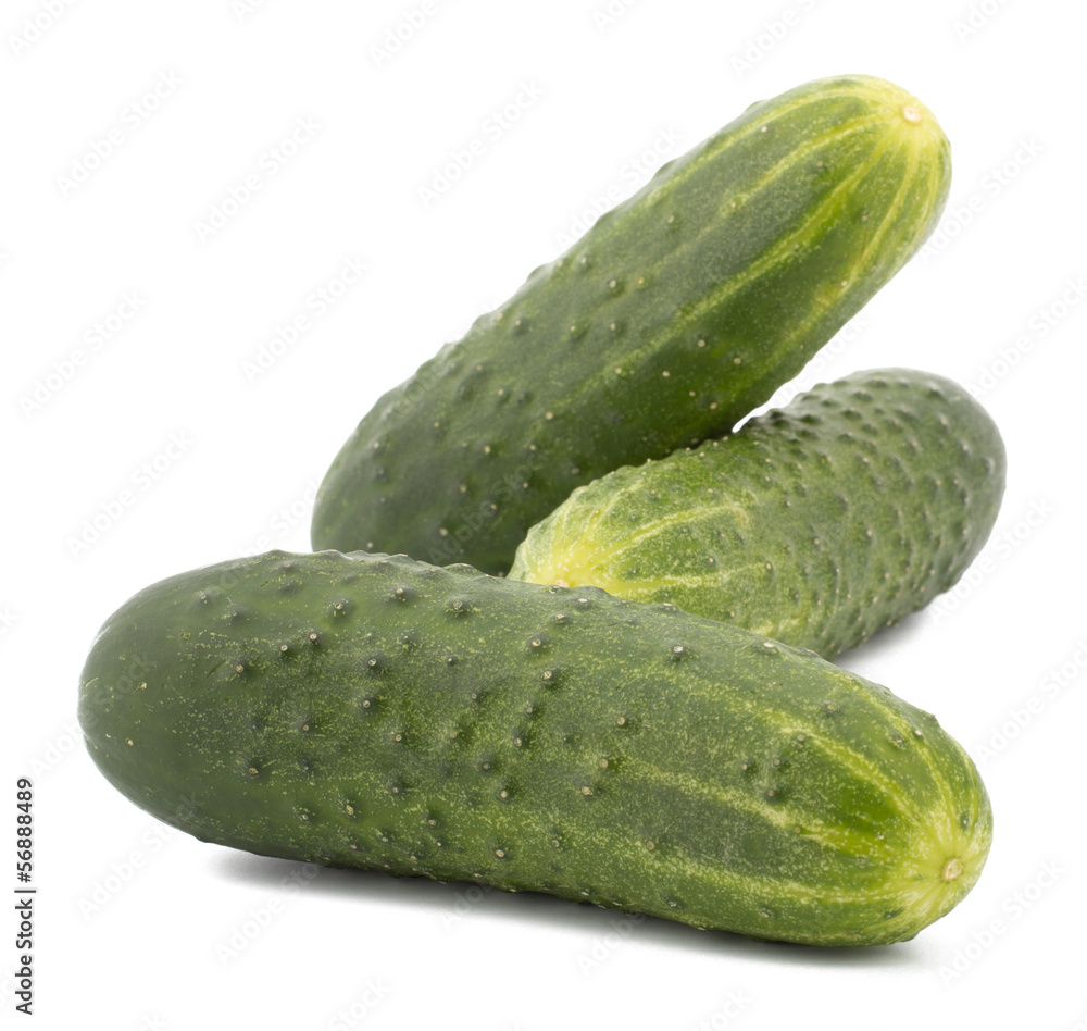 cucumber isolated on white background cucumber isolated on white background