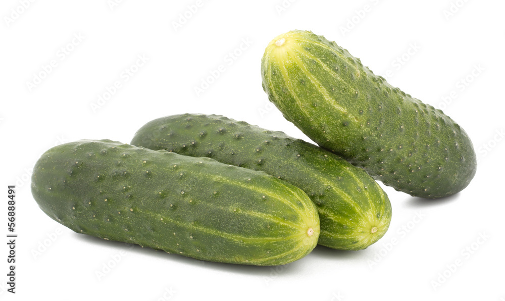 cucumber isolated on white background cucumber isolated on white background