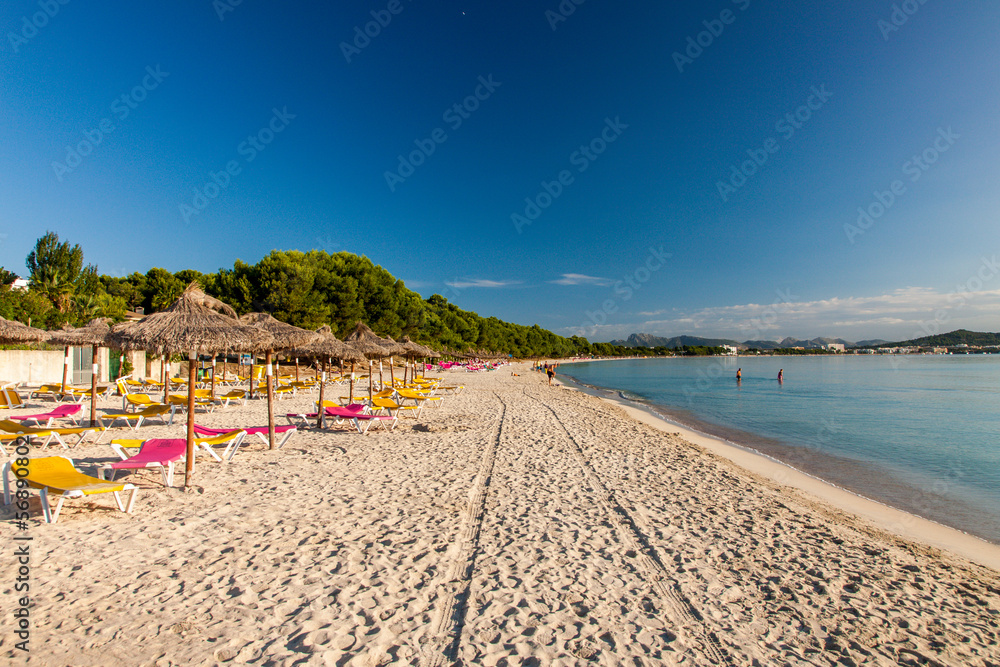 Fototapeta premium Alcudia Beach