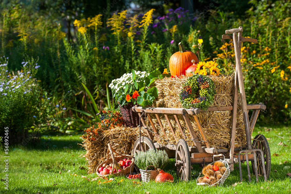 Fototapeta premium święto Dziękczynienia