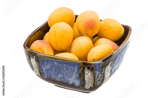 Bright apricots