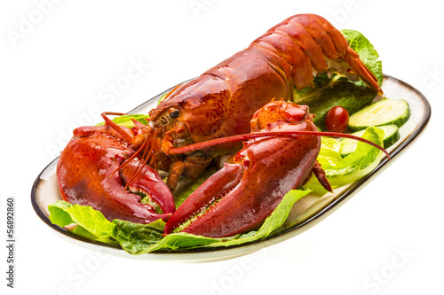 Large Lobster