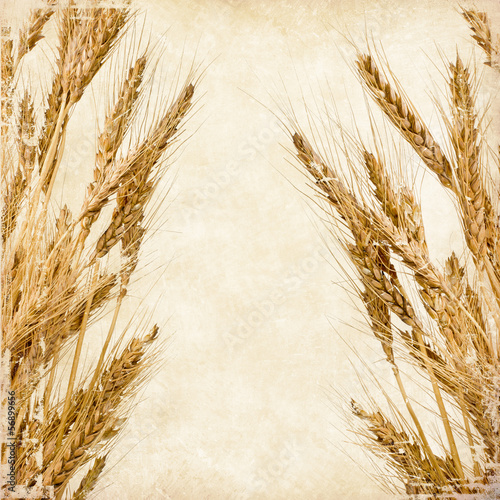 Vintage wheat 